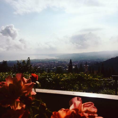 Bed & Breakfast Menzara Restaurant Konaklama