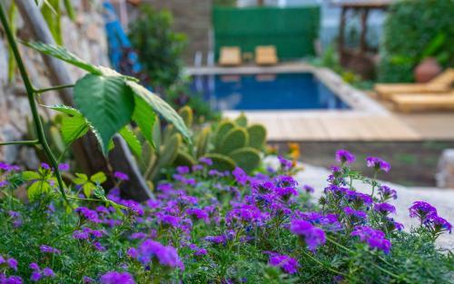 Jasmin Villa With Pool Daily Weekly Rentals