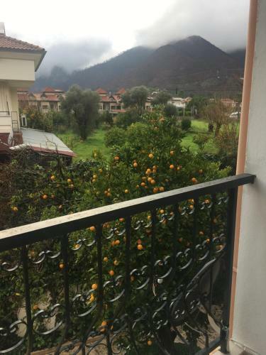 Apartamento ?�meler Mountain View Cozy Flat