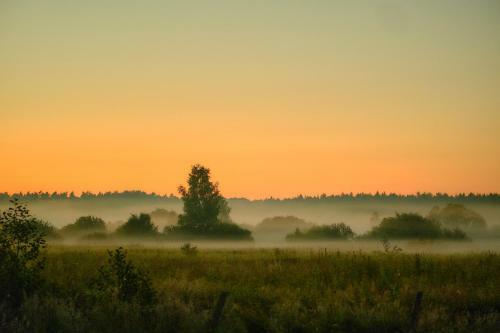 Bed & Breakfast Siedlisko Kierzkowo