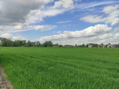 Apartamento Agroturystyka Kobylnica Nad Wis??