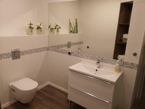 Apartament Przy Fontannie