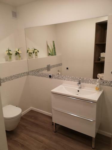 Apartament Przy Fontannie