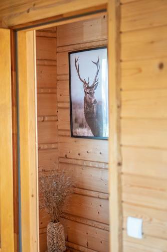 Lodge Ca?oroczne Domki W Mizernej