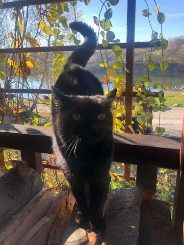 Chatki Qd?atki