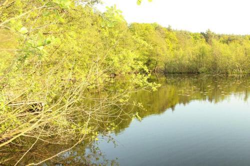 Holiday Home, Kolczewo