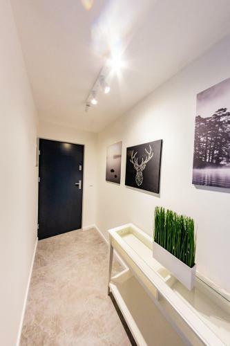 Apartamenty Na Chopina