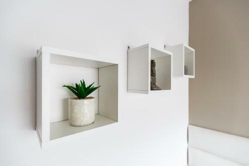 Luxury Apartments