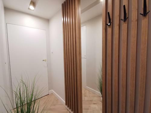 Apartament Rubin