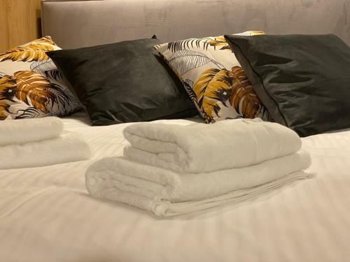 Elegant Apartment Ventus Centrum New!