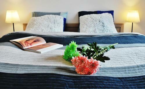 Apartamenty Nemo Polanki Park
