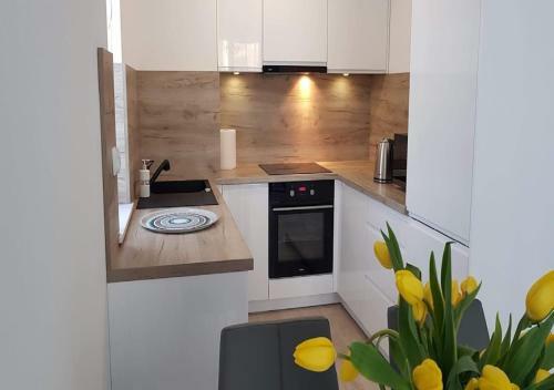 Lazar Apartamenty