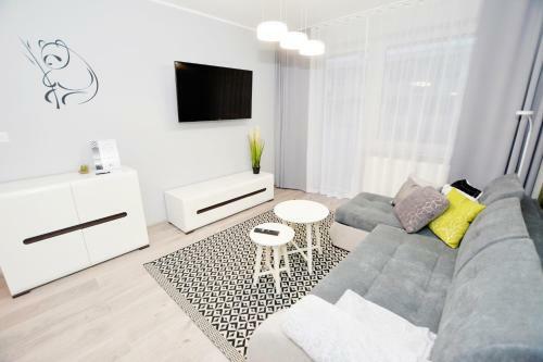 Apartamenty Mizu ? "panda"