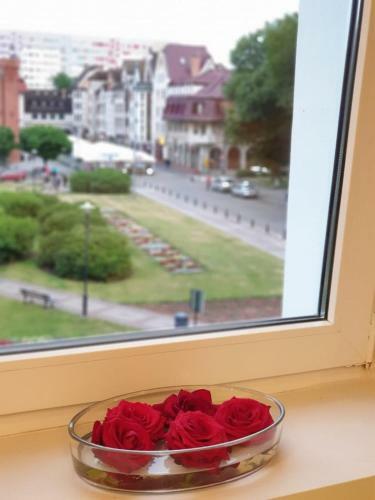 Apartament Z Widokiem Na Star�wk?