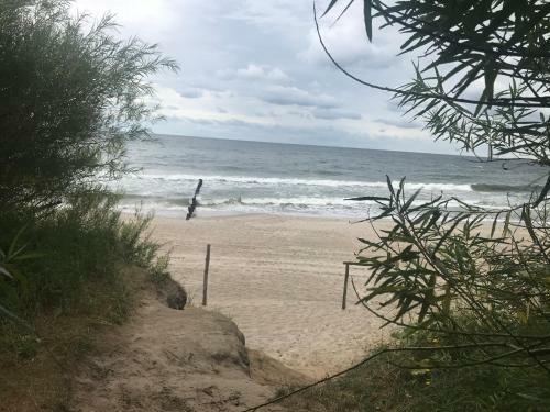 Apartament Holenderski Feniks