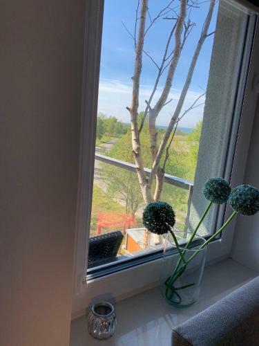 Apartament Holenderski Feniks