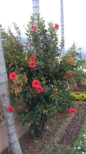 Kasim Hill View Villa