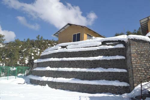 Hotel Nature Nest Eco Resort