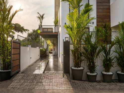 Fenicia Villas, Siolim
