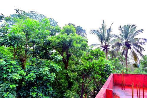 Hotel New Maxima Coorg By National Holidays