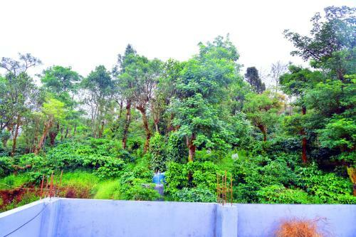 Hotel New Maxima Coorg By National Holidays