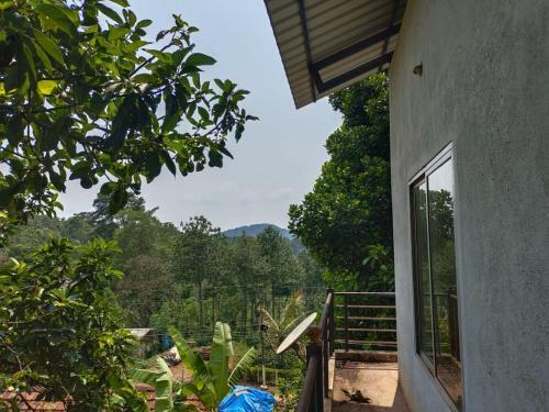 Green Land Estate Home Stay