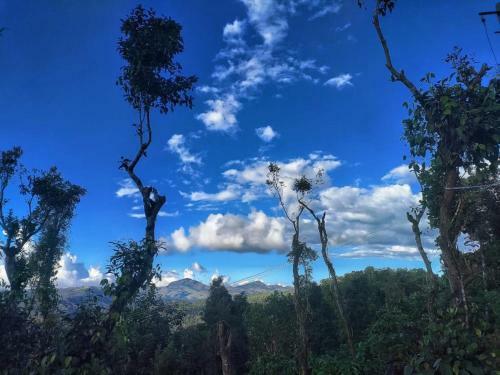 Tinyhouse - Hidden Valley Coorg