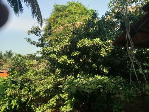 Sea Breeze Two Bedroom Apartment