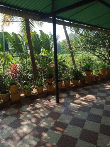 Sea Breeze Two Bedroom Apartment