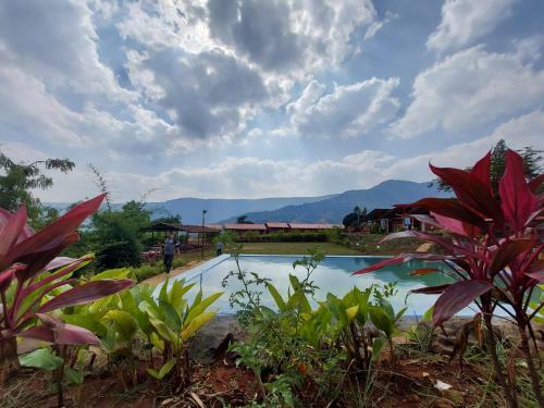 Hotel Mysticstays Resort