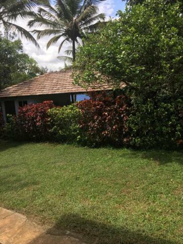 Tripthrill Hasiru Homestay
