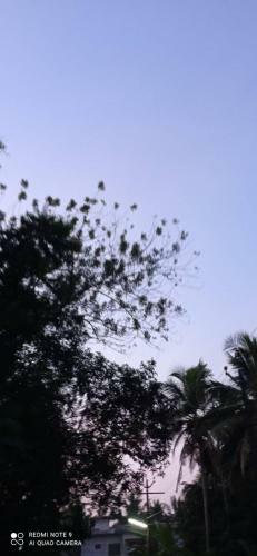 Shruthi's Aarohi-nature's Retreat