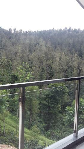 Cascade Valley Homestay With Private Waterfalls