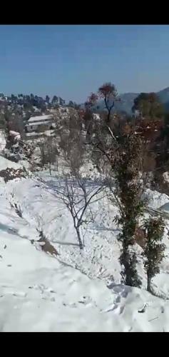 S K And Shiv Cottages