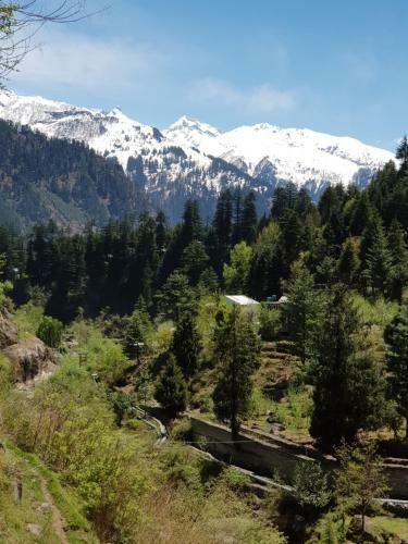 Hostal Abys Hut