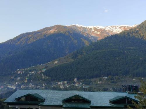 Coniferview Hotel Manali Castle