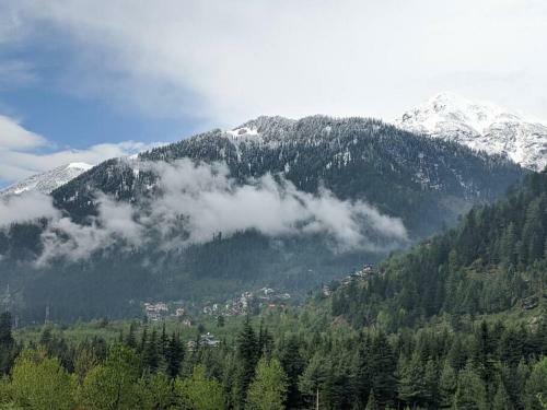 Ozzy Home Manali I Pet Friendly