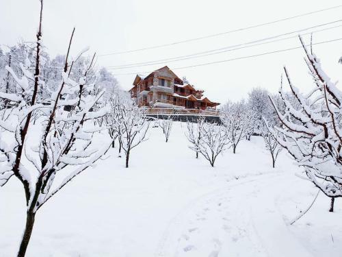 Katkuni Manali