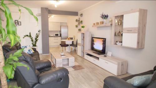 Spacious Apartment