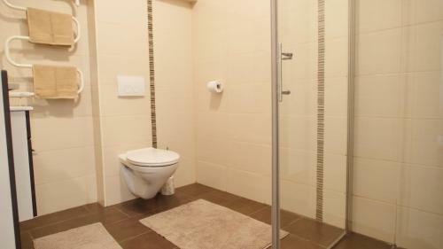 Spacious Apartment