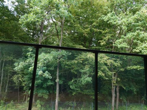 Apartament Nieznany B�r