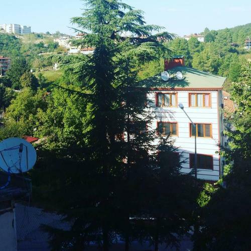Bed & Breakfast Orkide Motel Pansiyon