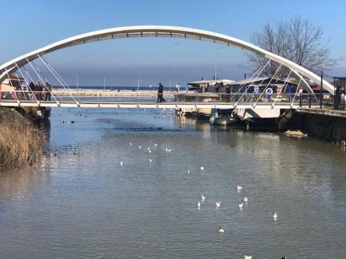 Apartamento Yalova_merkez