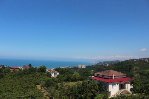 Villa Berat House