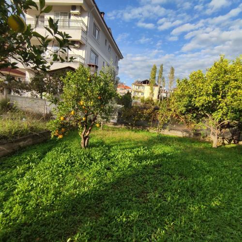 Villa Mehmet Home's