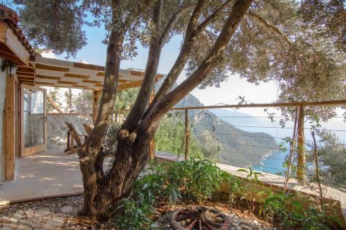 Hotel Kabak Dome Suites