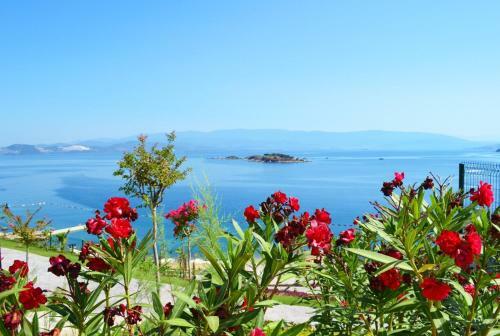 Apartment 3 Bedroom Fabay Abaduku Elveri