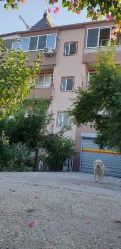 Demre Yener Apart