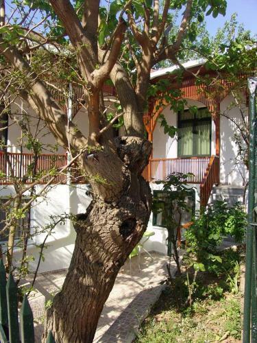 Orhan Kutbayin Evi