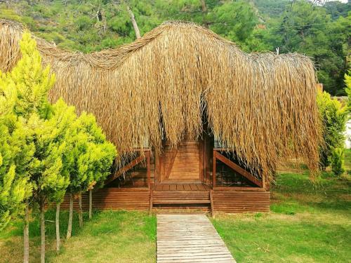 Hotel Green Pine Bungalows & Beach Luxury Concept
